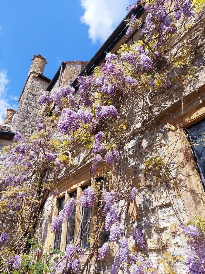 The Manor House, Curry Mallet Тонтон Екстер'єр фото